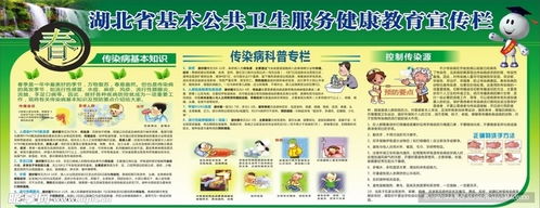 基本公共卫生服务健康教育宣传栏设计图